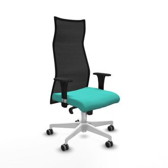 Piqueras y Crespo Silla De Oficina Albacete Piqueras Y Crespo B1c026g Turquesa