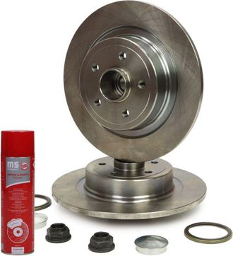 OEM Discos De Freno Con Rodamiento Trasero 2401106202b-pcs-ms 2 Uds