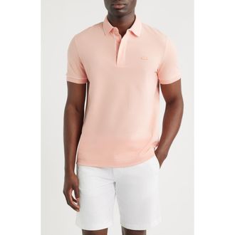 Lacoste Regular Fit Tipped Piqu&eacute; Polo in Miami at Nordstrom, Size 4