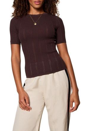 Sanctuary Perfect Pointelle Rib T-Shirt in Rich Soil Brown at Nordstrom, Size X-Large