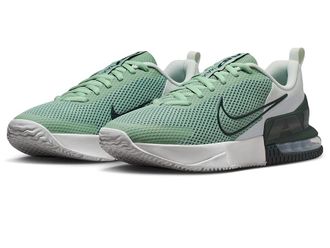 Nike Air Max Alpha Trainer 6 Mens Cross Training Shoes Steam/Black Spruce/Spruce Aura/Off White : 10.5 D - Medium, Textile