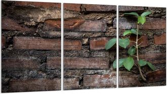 OEM Placa Protectora De Vidrio Para Estufa 3x30x52