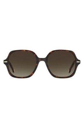 Carolina Herrera 55mm Square Sunglasses in 0O63-Ha at Nordstrom Rack