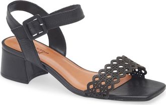 Bottero Catia Ankle Strap Sandal in Preto at Nordstrom, Size 10