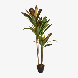 Sklum Sklum - Planta Artificial Decorativa Dracaena