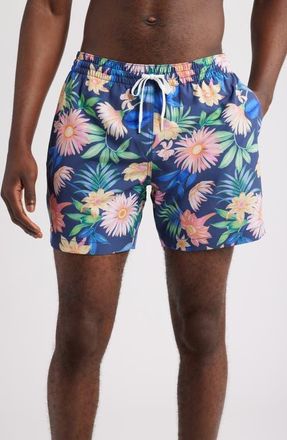Chubbies The Big Bloomers Floral 5.5-Inch Swim Trunks in Navy at Nordstrom, Size Xx-Large