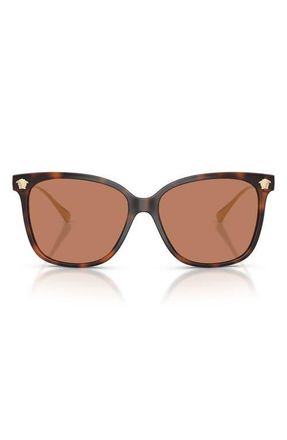 Versace 57mm Square Sunglasses in Havana /Brown at Nordstrom