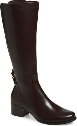 Regarde le ciel Jolene Knee High Boot in Delice Castagno at Nordstrom, Size 10.5-11Us