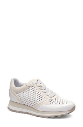 Johnston & Murphy Piper Knit Panel Sneaker in White Suede/crochet at Nordstrom, Size 6.5