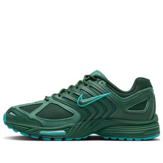 Nike Air Pegasus 2K5 Fir Bicoastal FZ7354-300