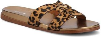 Birdies The Sunbird Icon in Leopardprint Haircalf at Nordstrom, Size 9.5