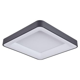 Netlighting Giacinto Modern Integrated LED Semi Flush Light 4000K in Black