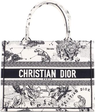 Dior Book Embroidered Canvas Medium tote bag - Veelkleurig