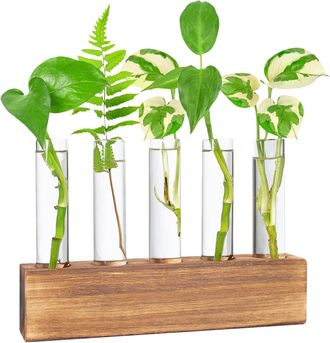 OEM Estaci&oacute;n De Propagaci&oacute;n, Jarr&oacute;n De Cristal Para Flores, Terrario, Hidropon&iacute;a, Maceta Con Soporte De Madera Para Plantas Acu&aacute;ticas Verdes, Apto Para La