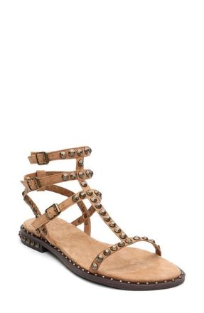 Ash Play 2 Gladiator Sandal in Moka Mou at Nordstrom, Size 10Us