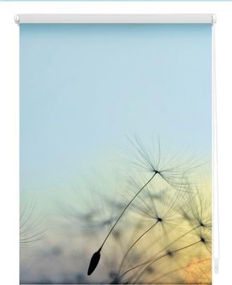 Lichtblick Original Seitenzugrollo »Rollo Klemmfix, ohne Bohren, Verdunkelung, Pusteblume - Blau« verdunkelnd Verdunkelung energiesparend freihängend