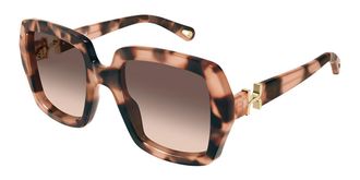 Chlo&eacute; CH0301S 006 Womens Sunglasses Tortoiseshell Size 52
