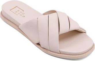 Shushop Chelsea Slide Sandal in Bone at Nordstrom, Size 8.5
