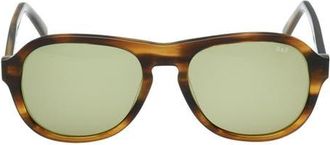 Abercrombie & Fitch 55mm Oval Sunglasses in Beige Horn /Green at Nordstrom