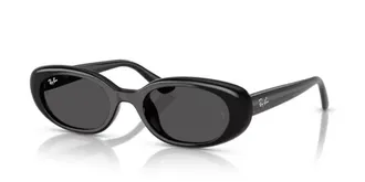 Ray-Ban RB4441D667787 Black Oval-Frame Sunglasses - Black