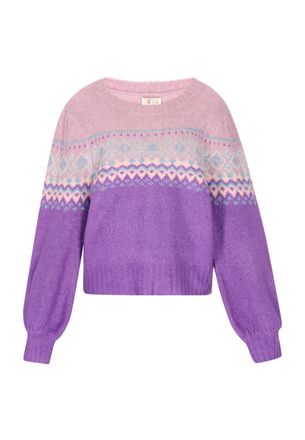 Izia Jumper Dames Violet veelkleurig