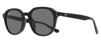 Ray-Ban Dark Grey Square Unisex Sunglasses RB4459D 901/87 54