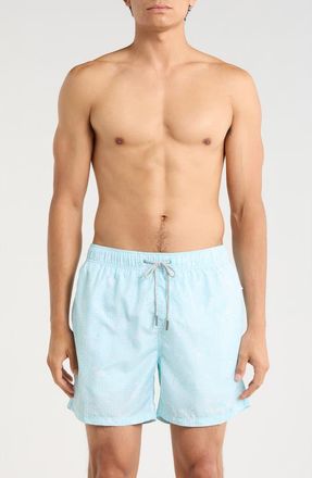 Vintage Summer Swimwear Ponji Printed Volley Swim Shorts in Mint at Nordstrom Rack, Size Xx-Large