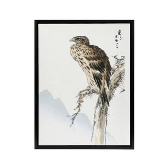 Artery8 Black Eared Kite Bird Japanese Framed Canvas Wall Art Print Kashu | Size: W24 x H32