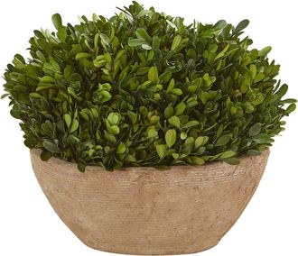 Nearly Natural Boxwood Preserved Plant In Oval Planter