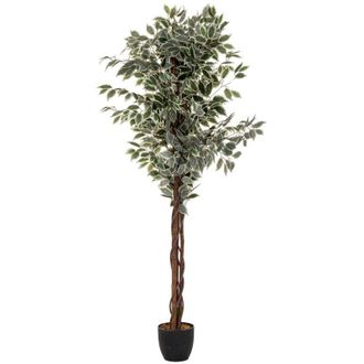 Atmosphera Atmosphera - Ficus artificiale benjamina verde scuro h180cm cr&eacute;ateur dint&eacute;rieur