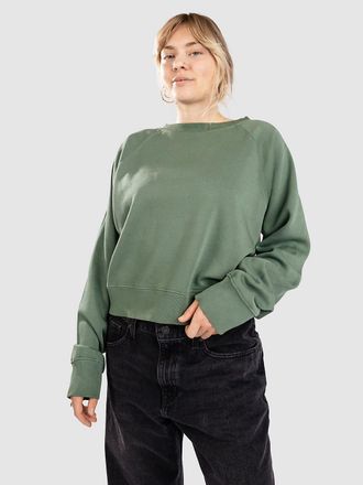 Blue Tomato Washed Out Boxy Sweater groen