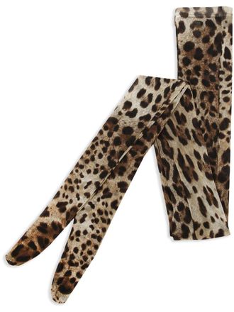 Dolce & Gabbana leopard-print tulle tights - Brown