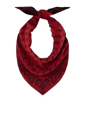 Guest In Residence The Wild Rag Foulard