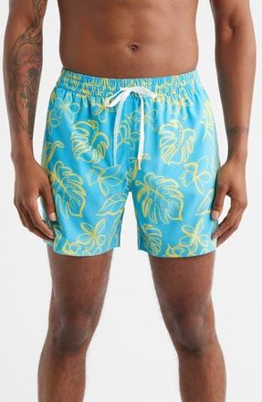 Chubbies The Arboretum Classic Lined 5.5-Inch Swim Trunks in Bright Blue at Nordstrom Rack, Size Medium