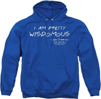 Gildan Friends Wisdomous Adult Pull Over Hoodie / Hooded Sweatshirt