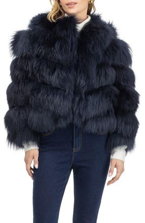 Gorski Genuine Shearling Jacket in Navy at Nordstrom, Size X-Small