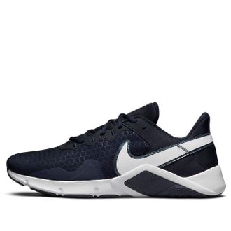 Nike Legend Essential 2 Obsidian CQ9356-401