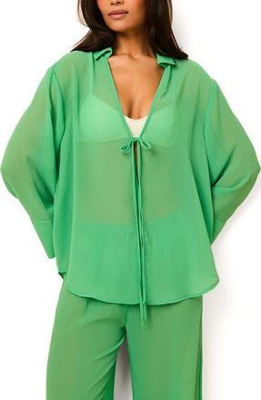 Solid & Striped The Jaclyn Long Sleeve Sheer Cover-Up Tunic in Turtle Green at Nordstrom, Size X-Large