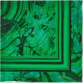 Roberto Cavalli Foulard con stampa - Verde