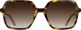 Calvin Klein Womens Modified Rectangle Sunglasses - Brown