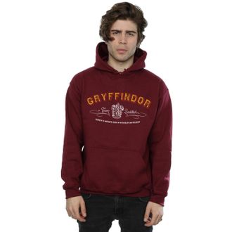 Harry Potter Heren Gryffindor Team Zwerkbal Hoodie (Bourgondi&euml;)