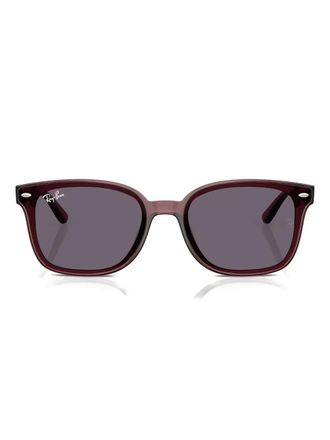 Ray-Ban RB4461D zonnebril - Bruin