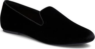 Birdies The Starling Loafer Velvet in Black Velvet/black Velvet at Nordstrom, Size 8.5