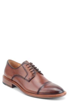 Warfield & Grand Ducasse Cap Toe Derby in Cognac at Nordstrom, Size 12