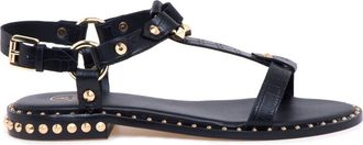 Ash Ash, Schoenen, Dames, Zwart, 36 EU, Leer, Patsy Sandal