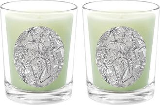 Qualitas Amazonia Two Scented Beeswax Candle Set