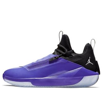 Nike Jordan Air Jordan Jumpman Hustle Dark Concord AQ0397-501