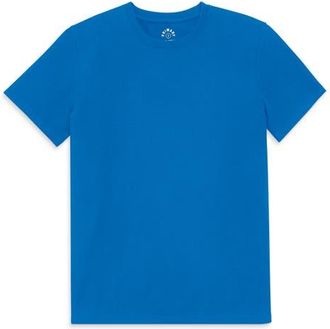 primary Adult Classic Tee in Blueberry at Nordstrom, Size Xx-Large