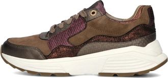 Xsensible Golden Gate Lady Sneakers Bruin Leer - Dames - Sneakers - Bruin - 40 EU - Leer - Schoenen