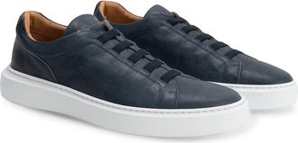 Robert Barakett Williams Stretch Lace Sneaker in Blue at Nordstrom, Size 10.5
